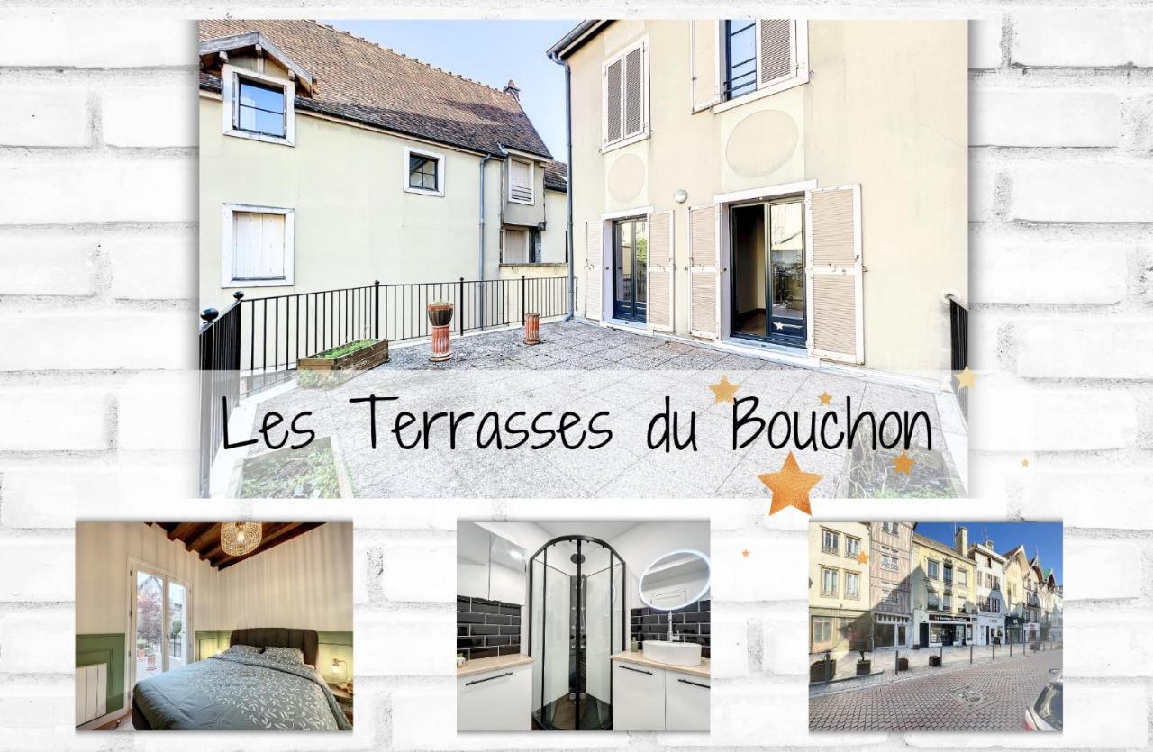 Les Terrasses Du Bouchon Apartment Troyes Luaran gambar